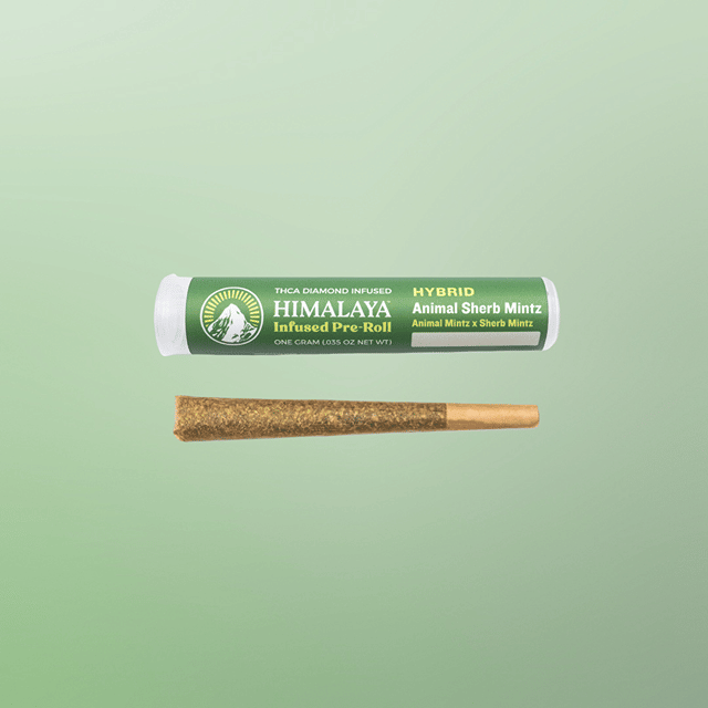 LOYALTY: ANIMAL SHERB MINTZ DIAMOND INFUSED PRE-ROLL | HIMALAYA