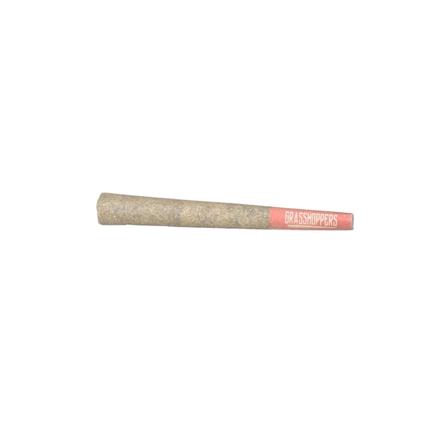 P- Hybrid | 1g Pre-Roll
