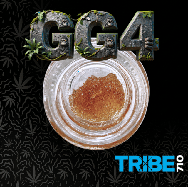 Tribe 710: Gg4 Terp