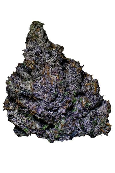 Sherbet Cream Pie 14g