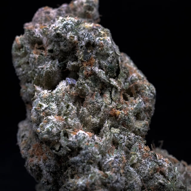 MilkWeed | Animal Face | Flower | 3.5g