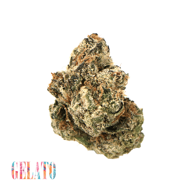 Gelato | Flower | 3.5g