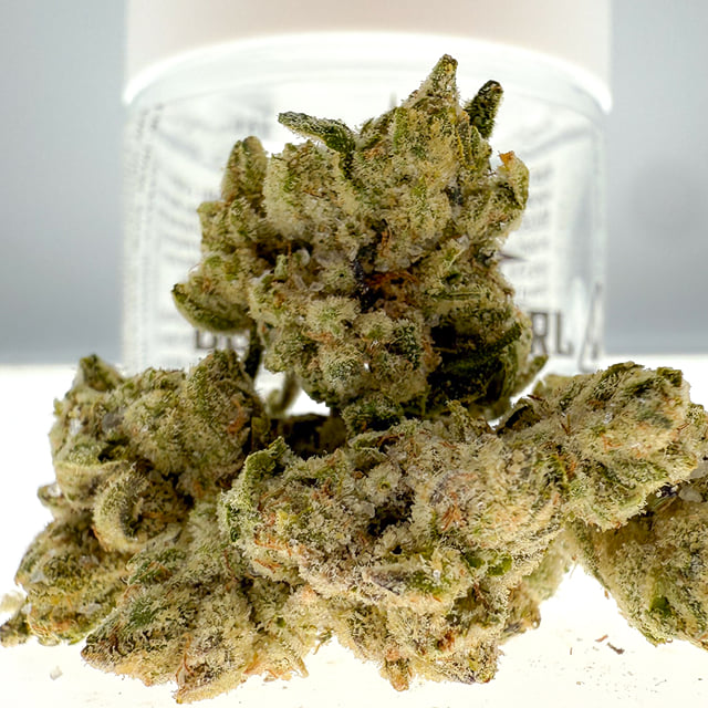 Monte Carlo - Diamond Coated Smalls