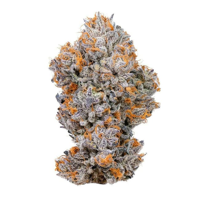 Biscotti | 10g
