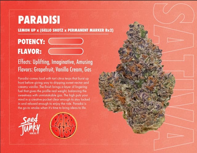 Paradisi 3.5g