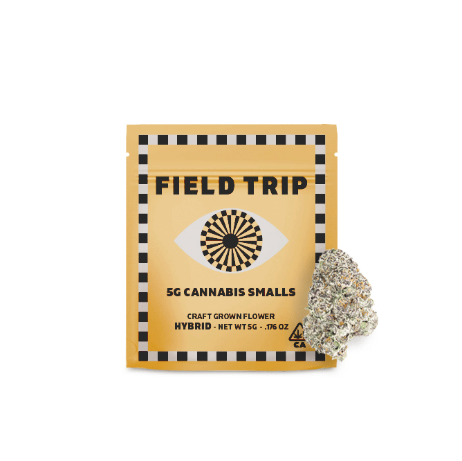 Field Trip: Sales Floor