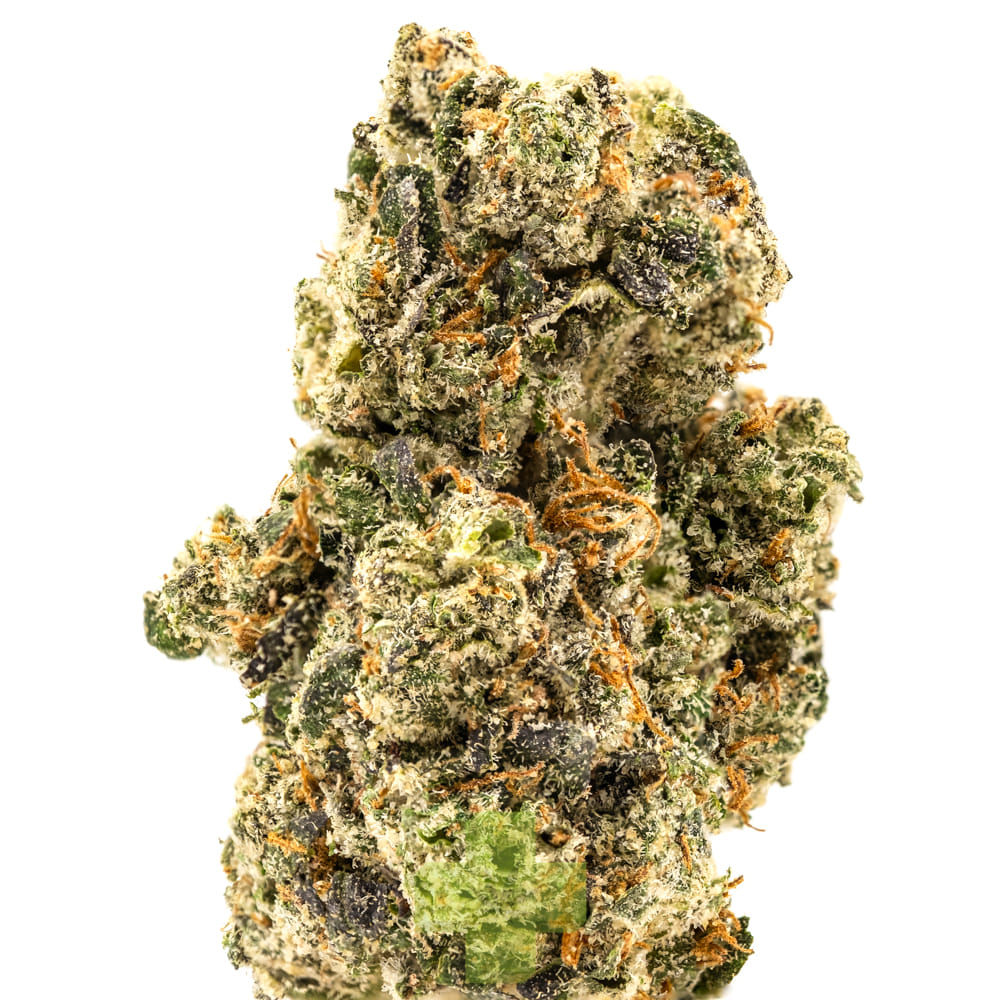 NUG: Jealousy