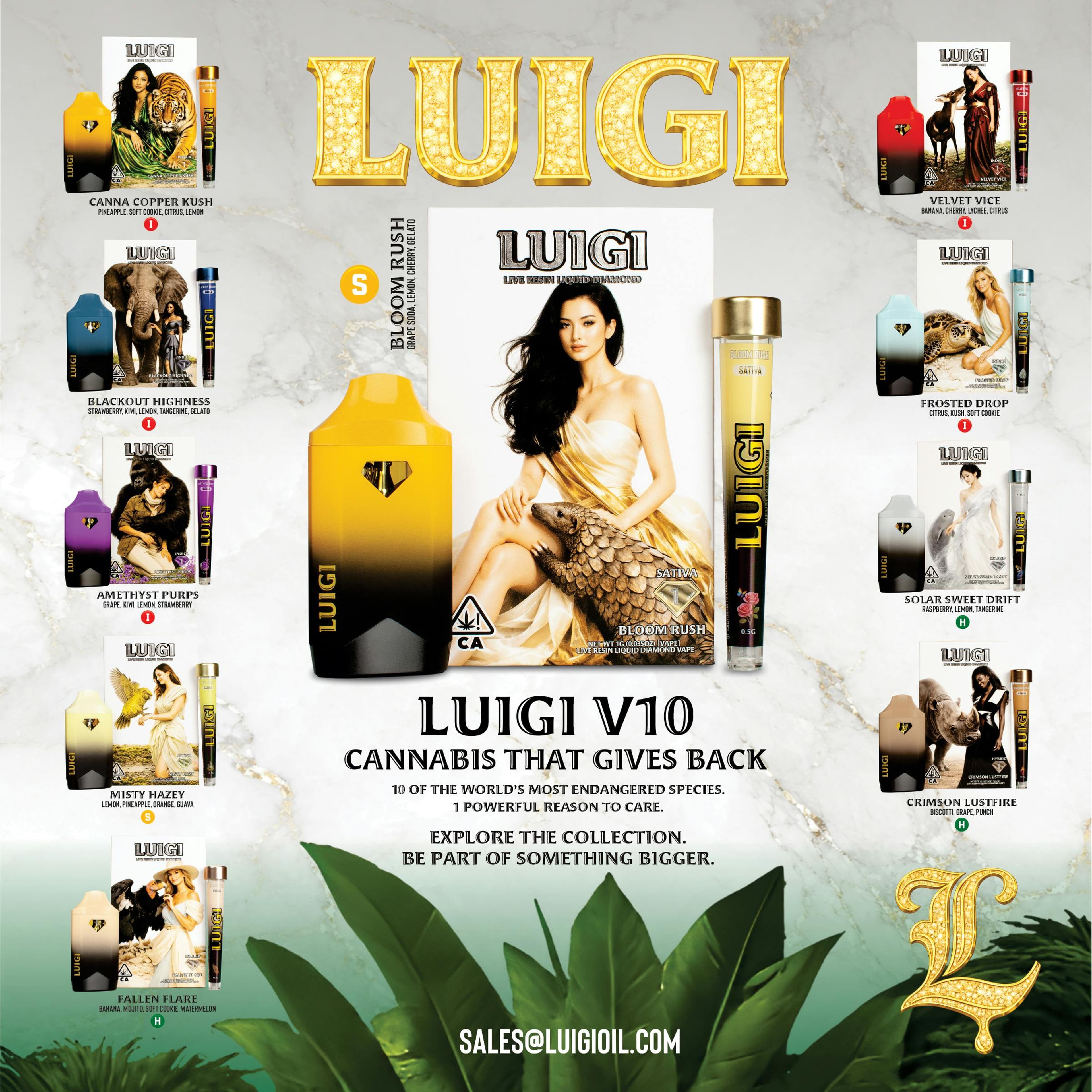Luigi AIO Dual Pack | Amethyst Purps - Luigi - - $20.50 - All-In-Ones