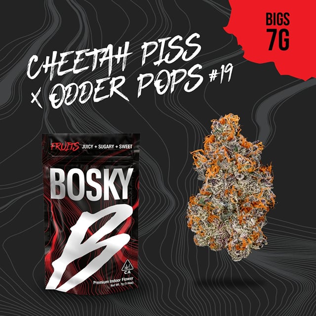 Cheetah Piss X Odder Popz #19 7g Gas BAg (INDOOR)