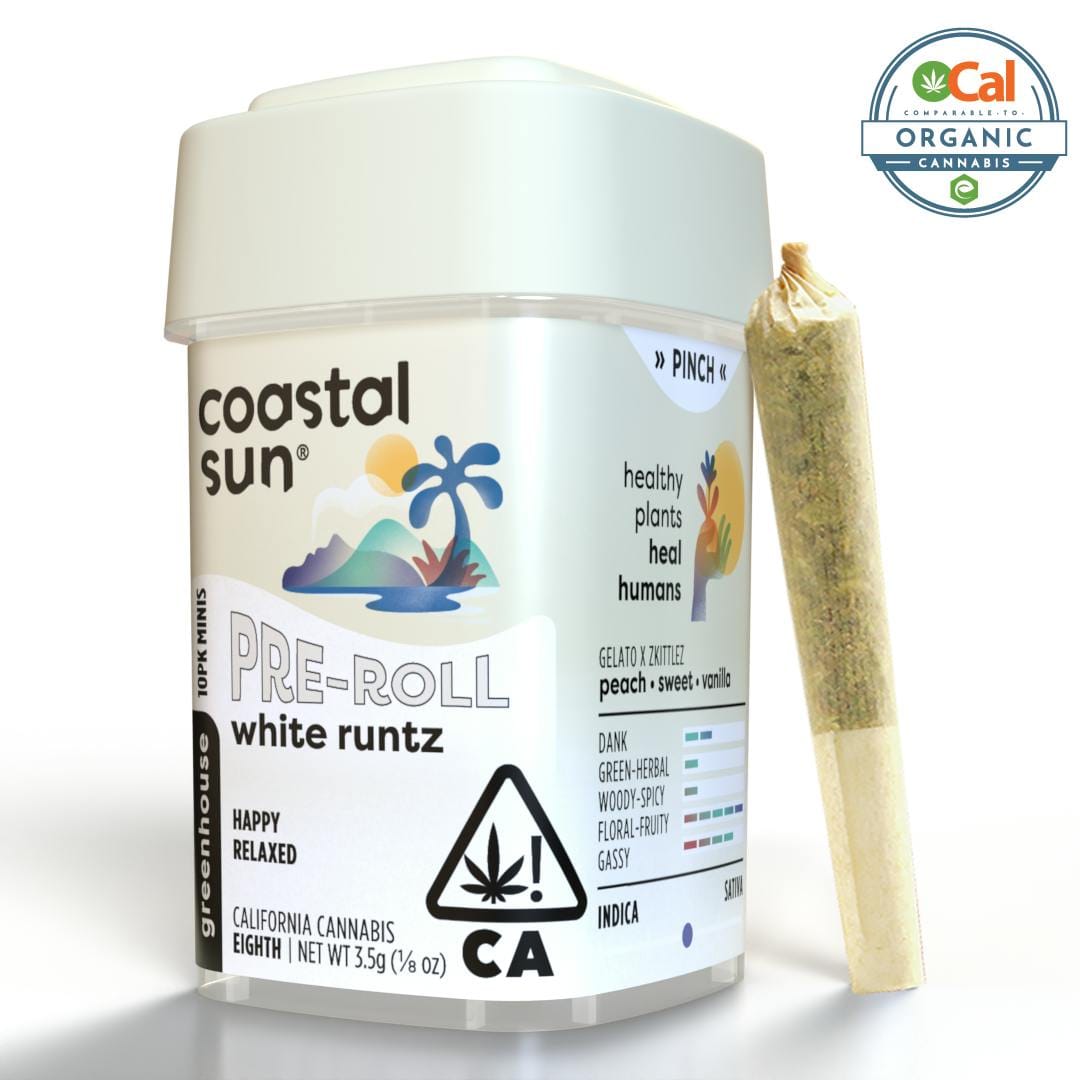 Coastal Sun: White Runtz