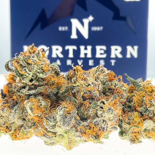 GMOxOZ Kush