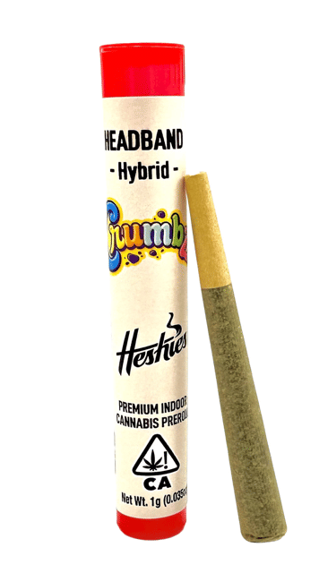 Crumbz: Headband