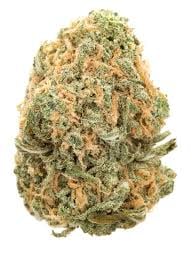 Blueberry Haze