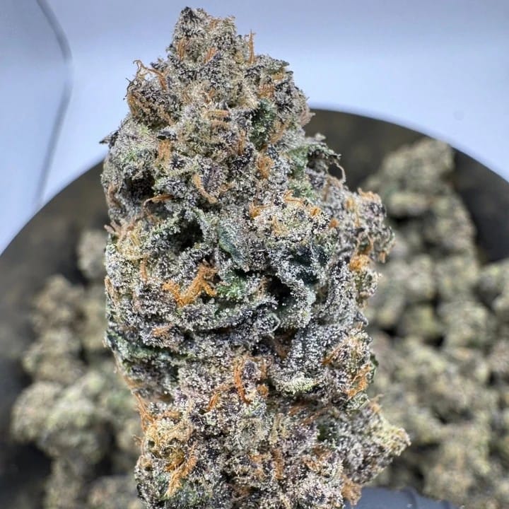 G3 Cultivators: Hash Burger - 3.5g