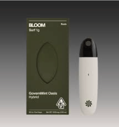 BLOOM: Governmint Oasis Surf