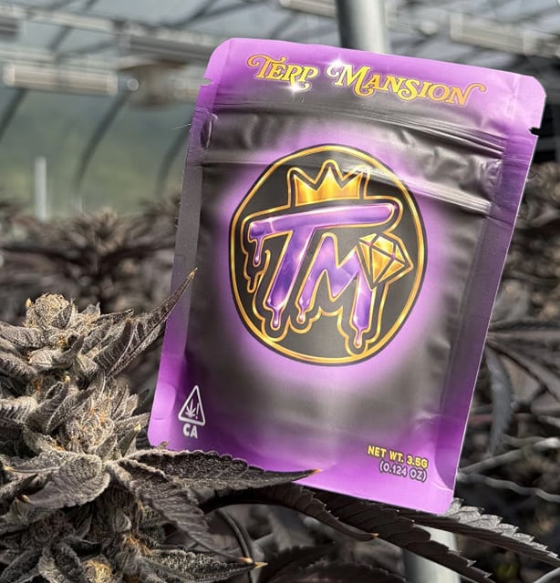 Original Glue 3.5g Flower Light Deps