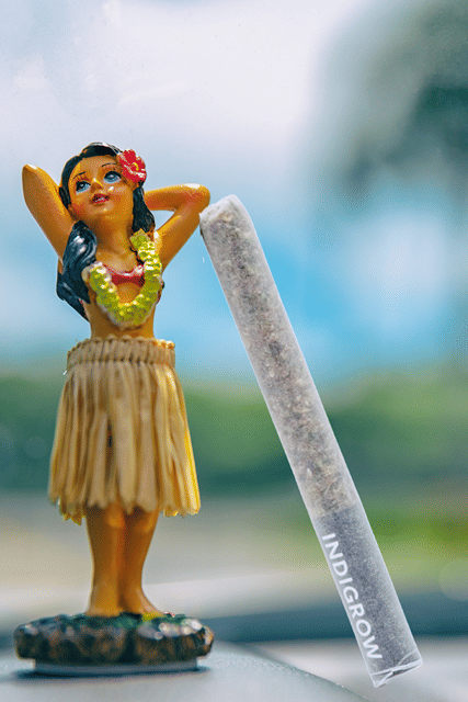 Maui Wowie Pre-roll