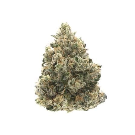 Hi-Grade - Donny Burger - 14g