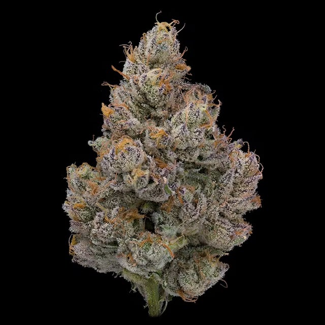 Jungle Juice - 3.5g