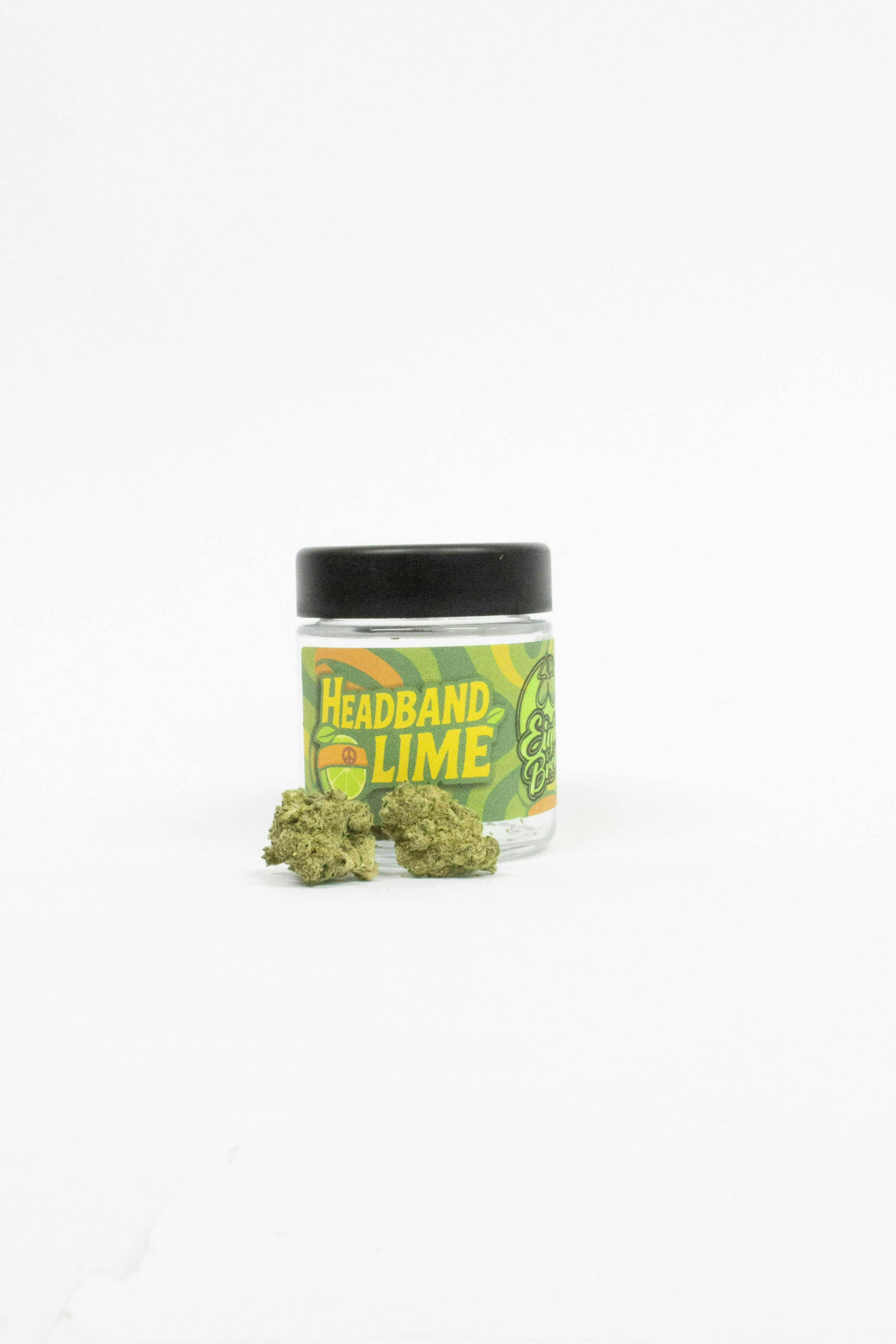 Eighth Brother: Headband Lime
