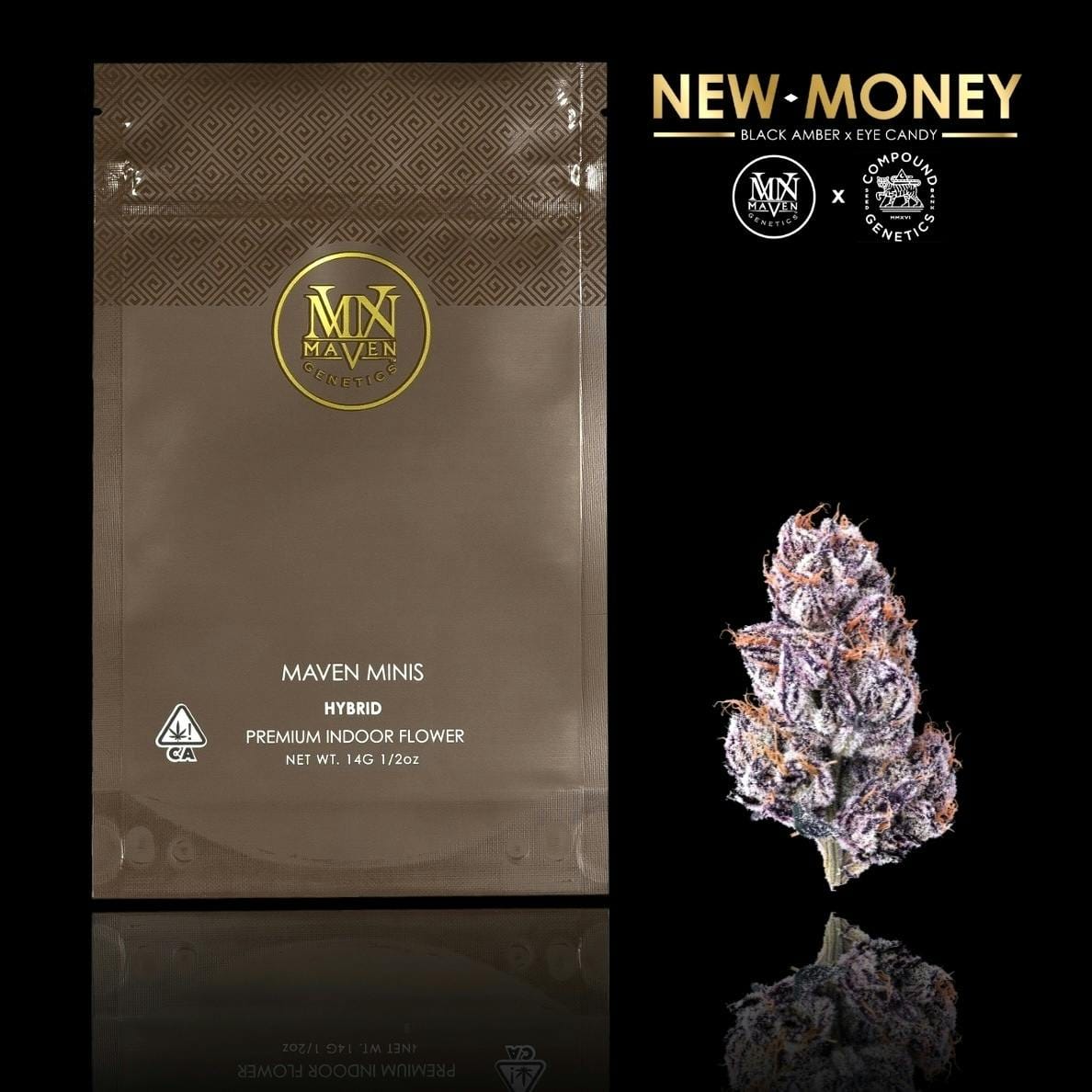 Maven Genetics: New Money