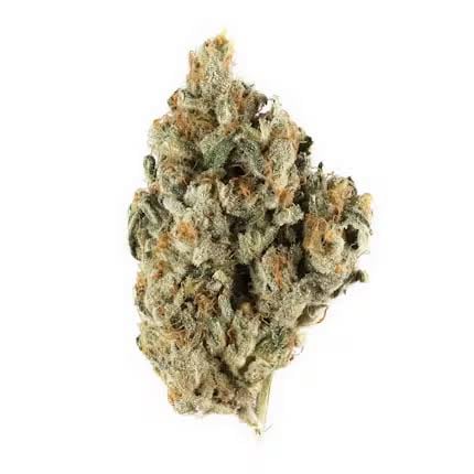 Hi Grade - Sin Mints - 14g