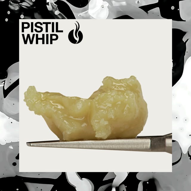 Pistil Whip: Maui Mimosa