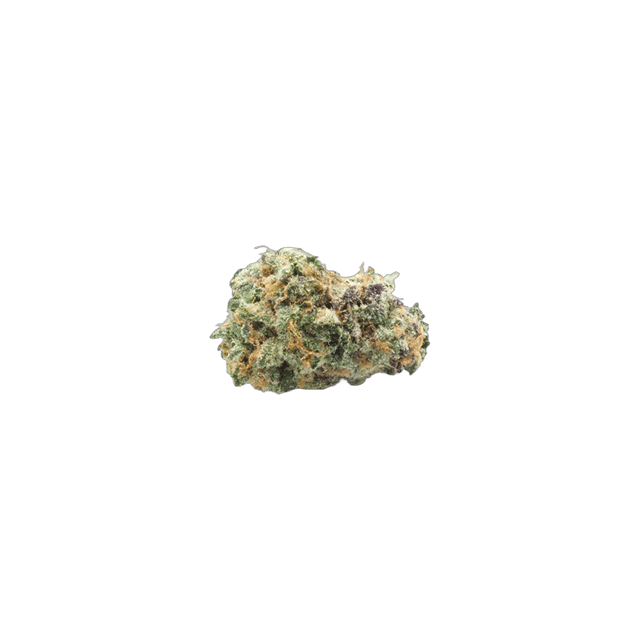 Dosi-Orange #9 - Indoor Flower