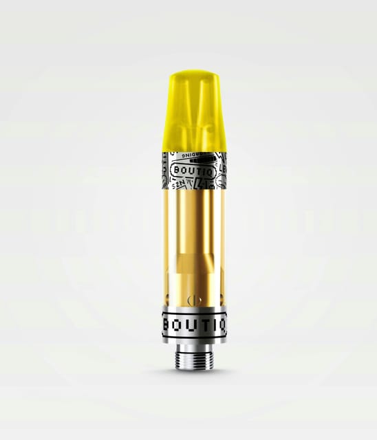 BOUTIQ: Yellow Diesel - Live