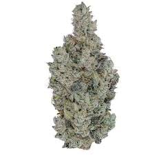 Holy Cow - 3.5g