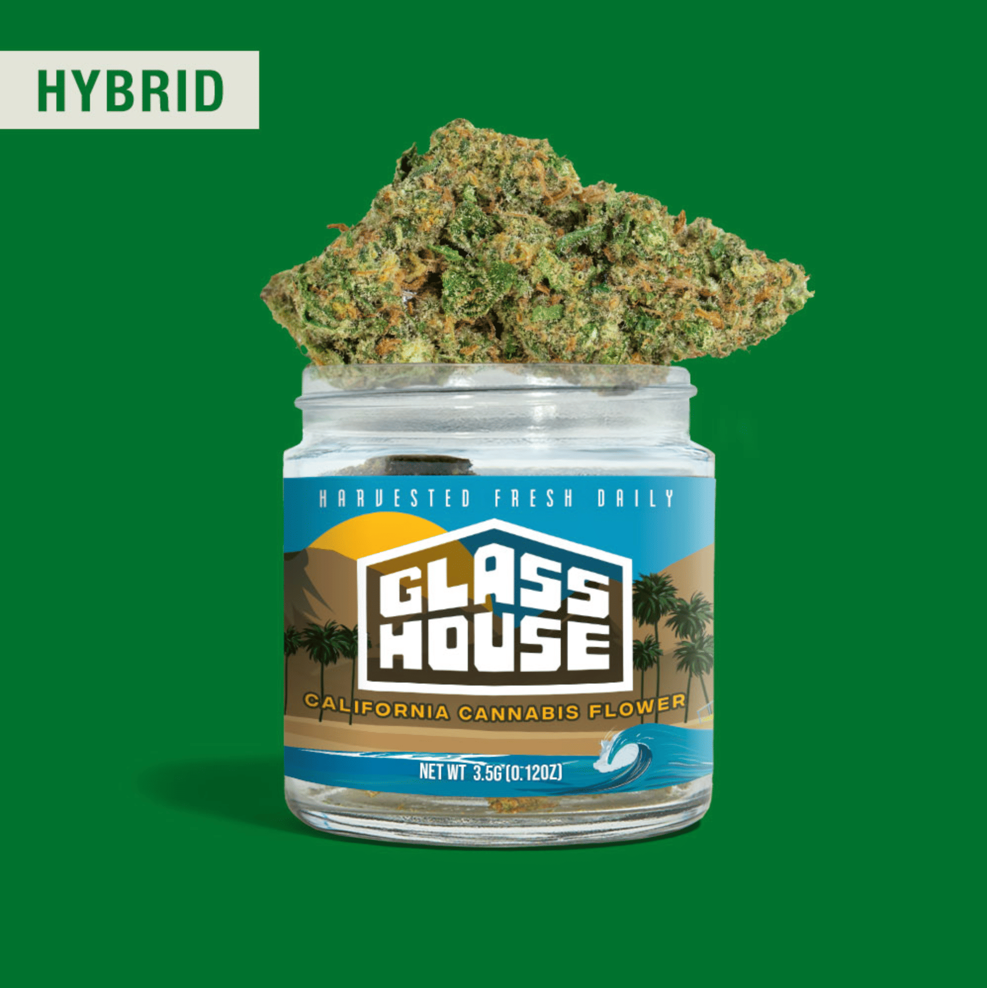 Glass House: Bizcotti Cream