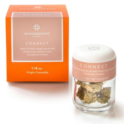 Canndescent: Citrus Carnival