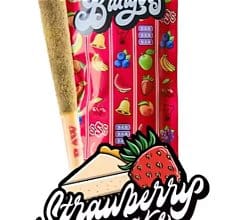 Bangers: Strawberry Cheesecake