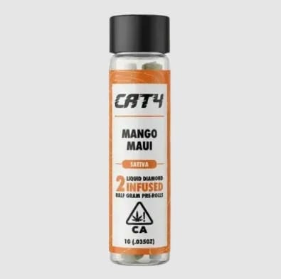 CAT4: Maui Mango