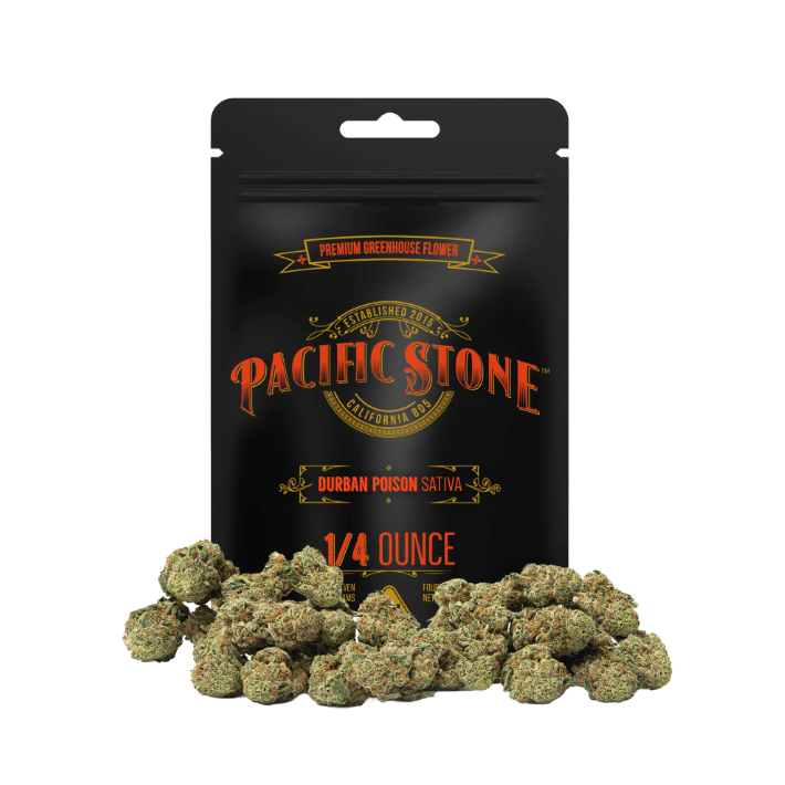 Pacific Stone: Sales Floor
