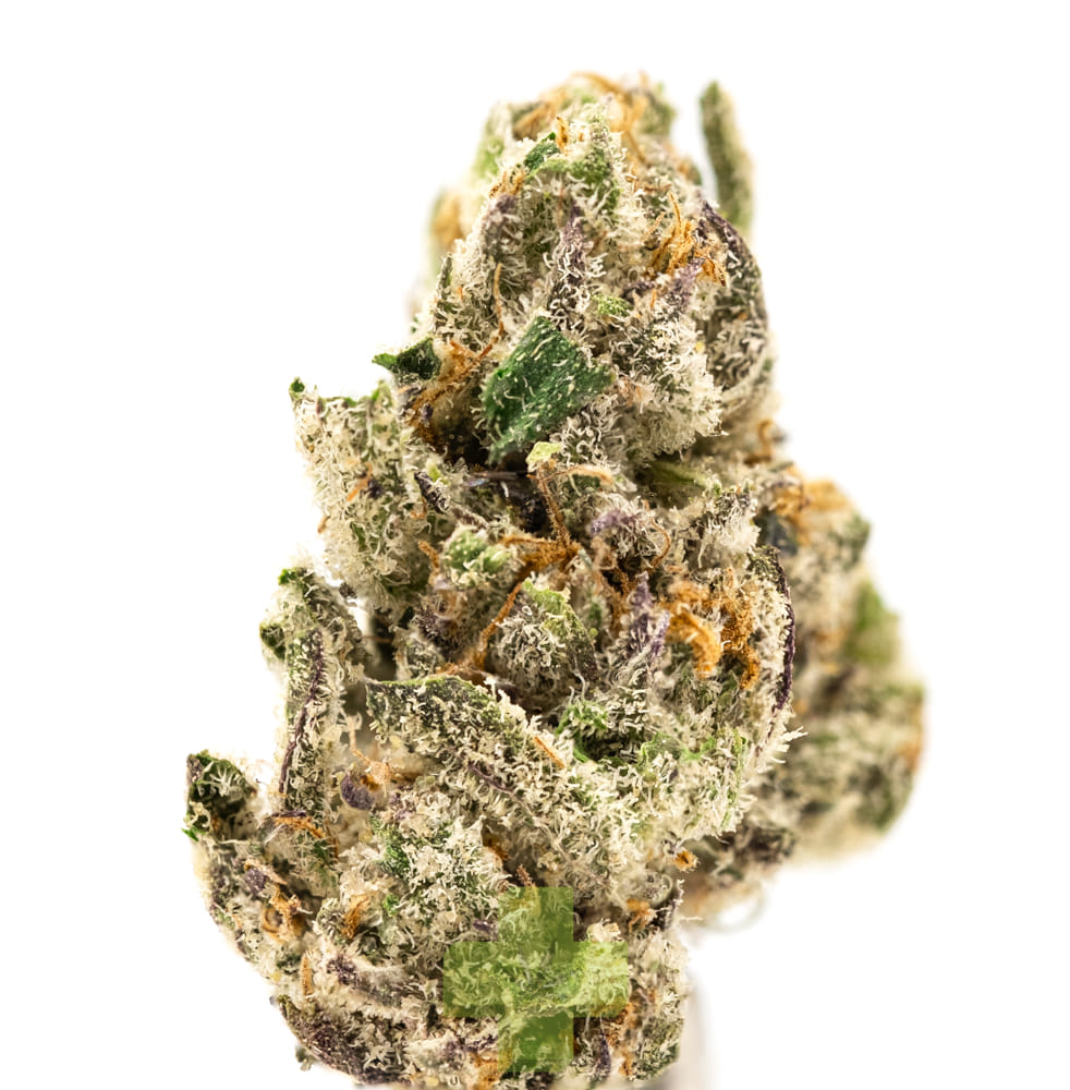 NUG: White Runtz