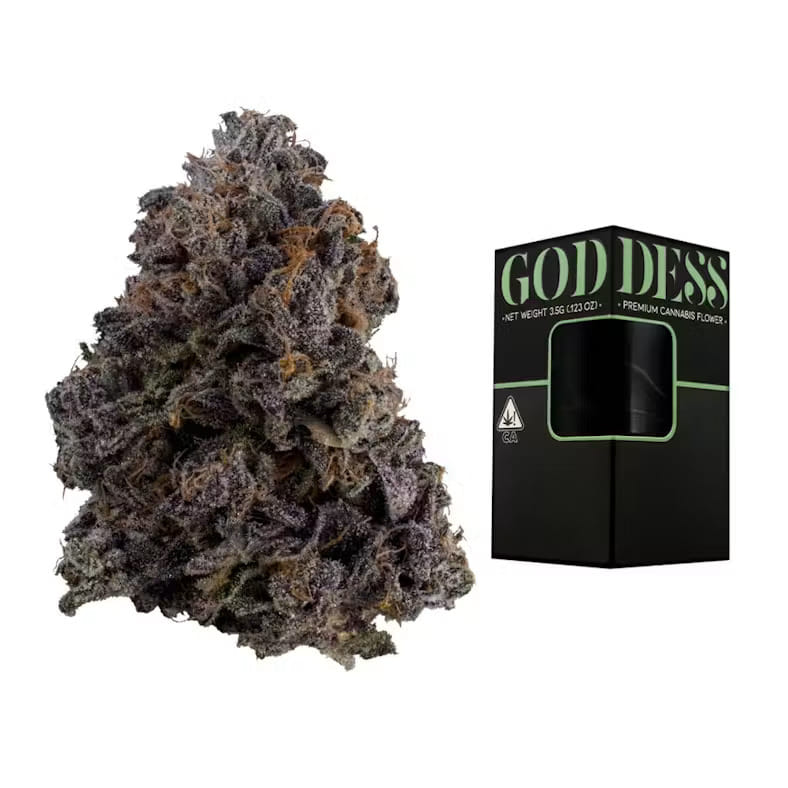 Goddess: Forbidden Sunrise