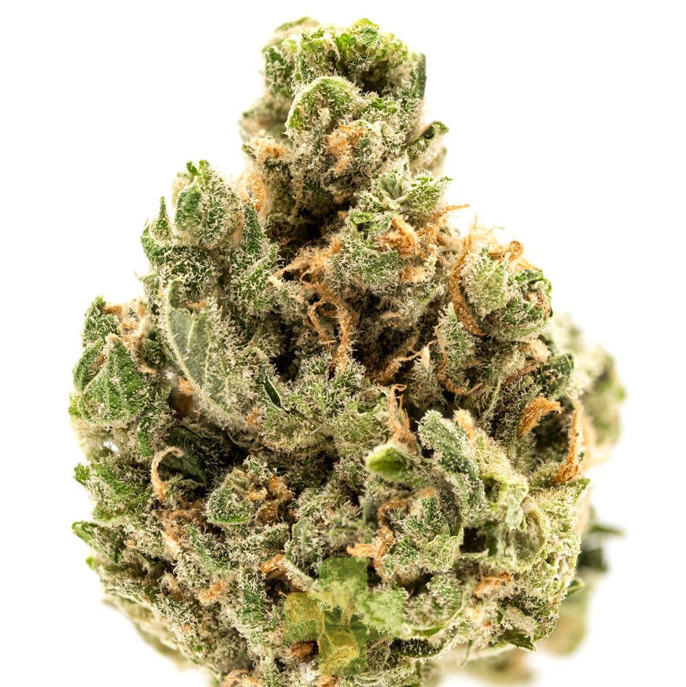 lolo: Blueberry Haze