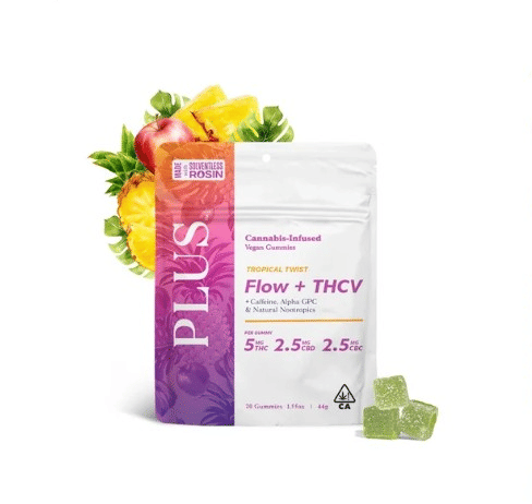 PLUS: Flow + Tropical Twist - / /