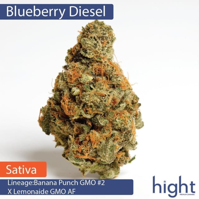 Blueberry Diesel 7g Flower (1/4)