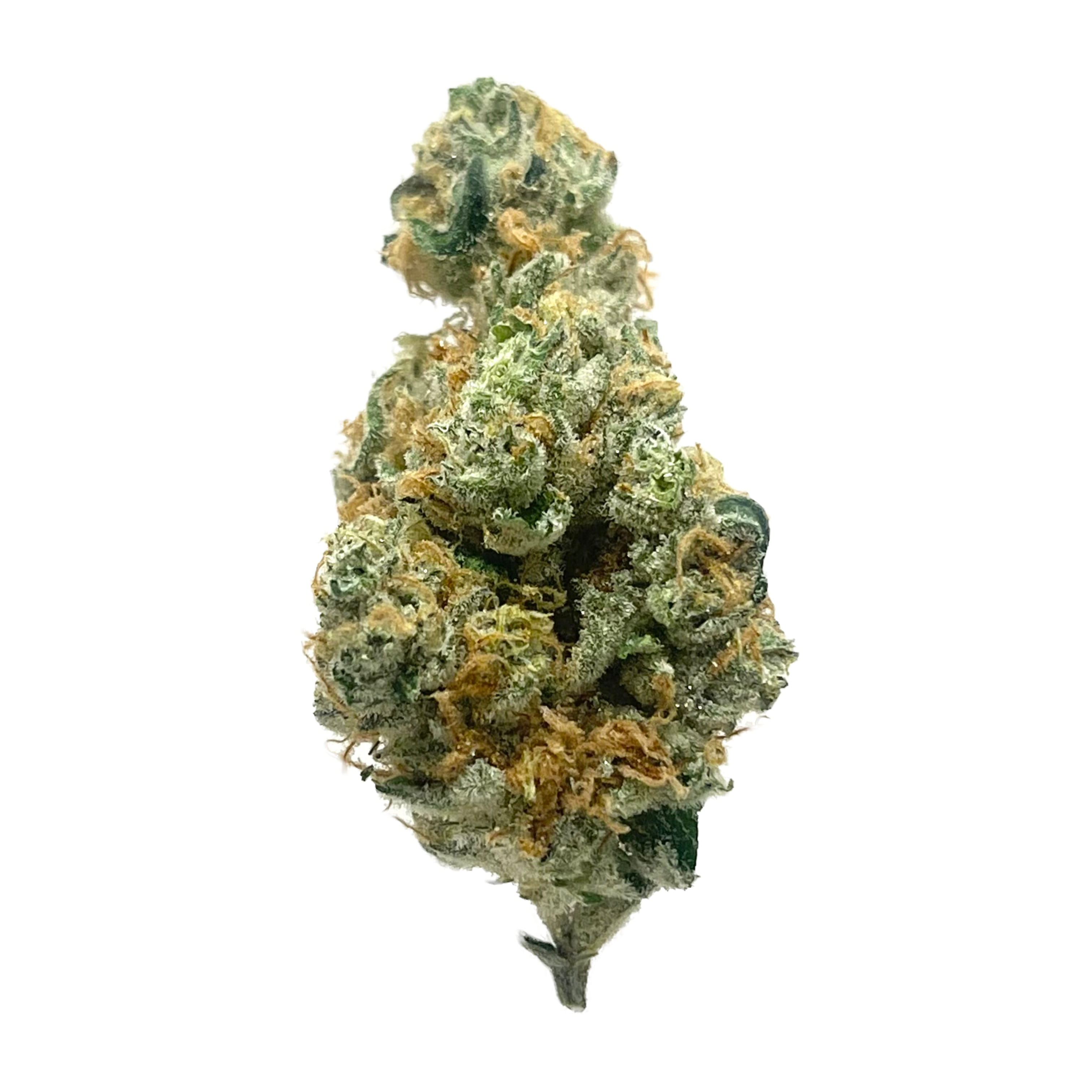 UpNorth: Acapulco Gold