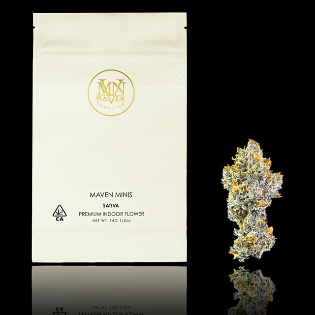 Orange Bellini | 14g Flower