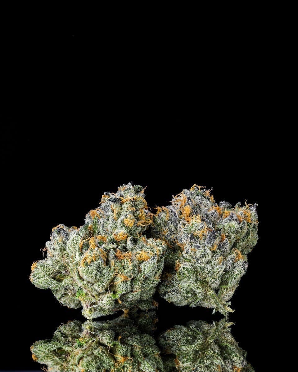 Decibel Gardens | 3.5g - Decibel OG - Decibel Gardens -  - $52.65 - Flowers