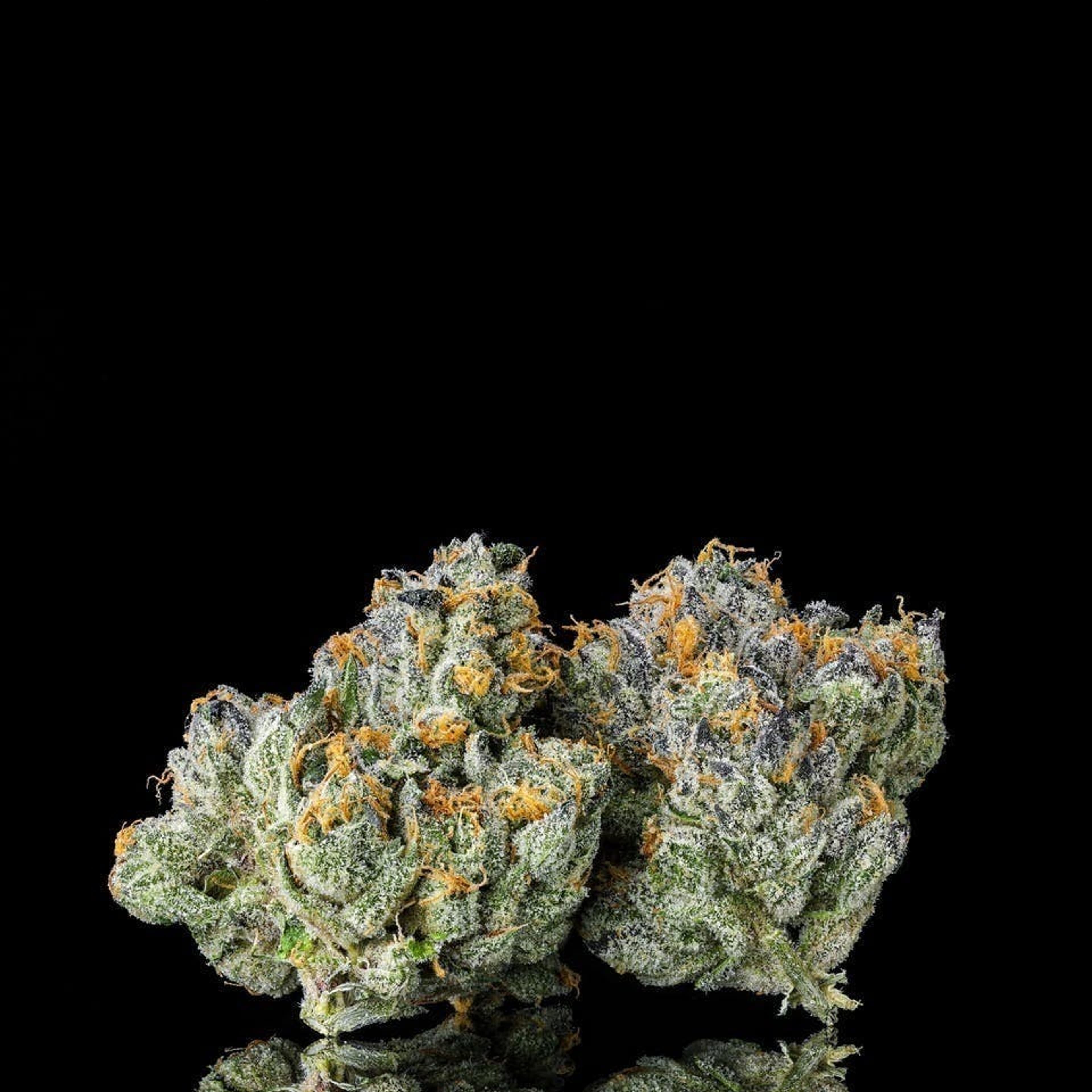 Decibel Gardens | 3.5g - Decibel OG - Decibel Gardens - - $52.65 - Flowers
