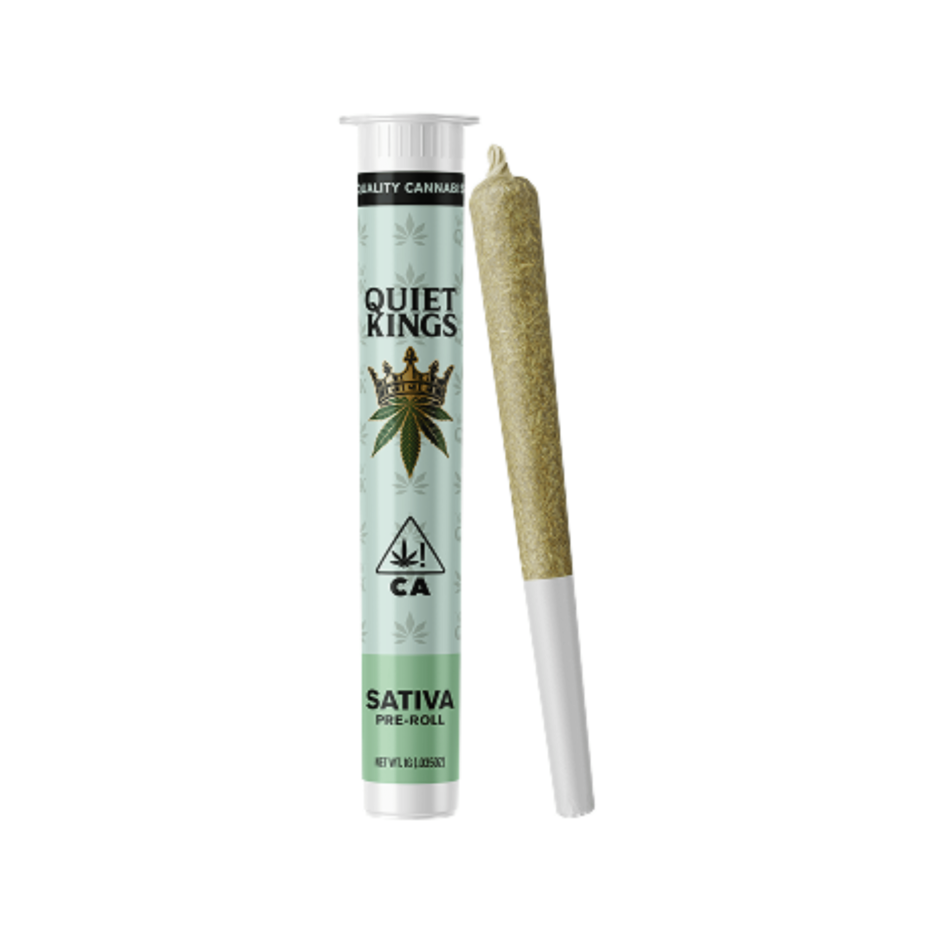 Quiet Kings: Sour Amnesia