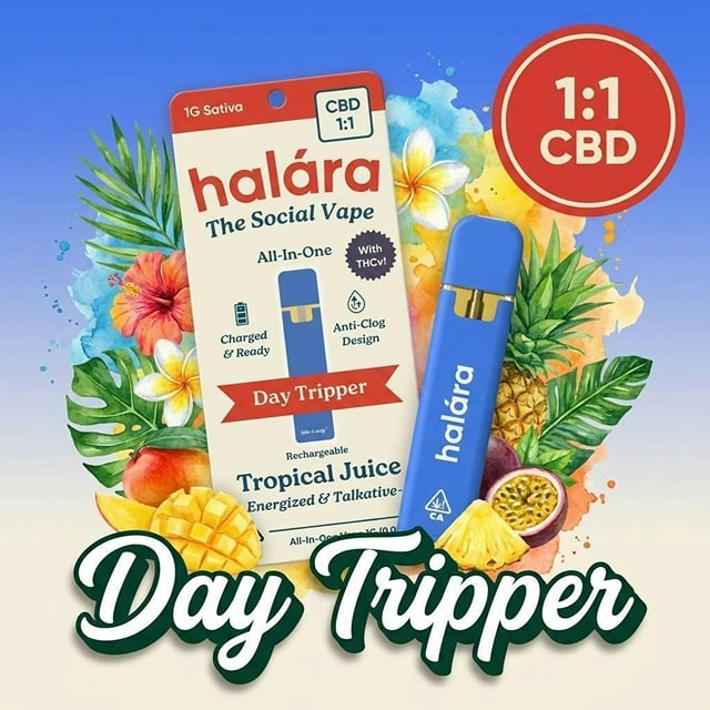 Day Tripper - High CBD 1:1 AIO
