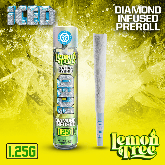ICED: Lemon Tree
