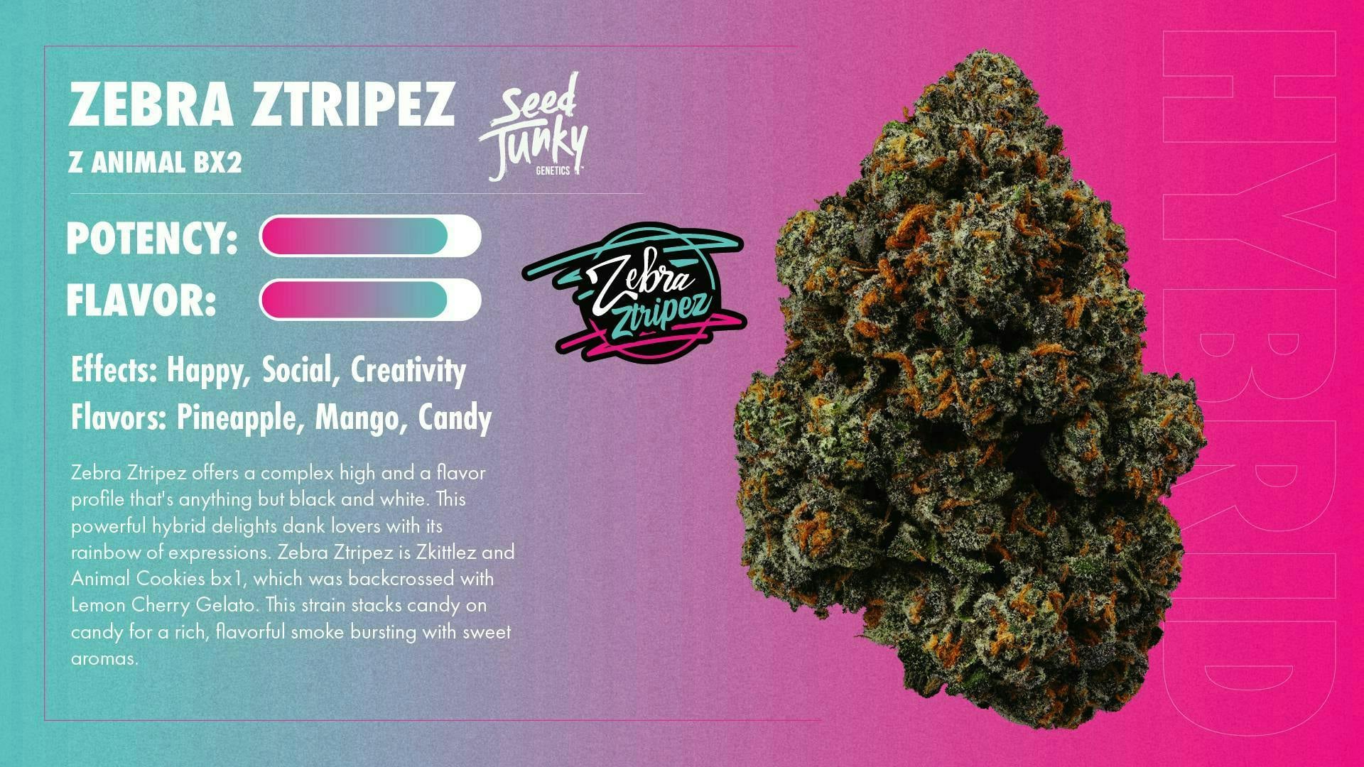 Seed Junky | 3.5g - Zebra Ztripez - Hybrid - Seed Junky -  - $11.56 - Flowers