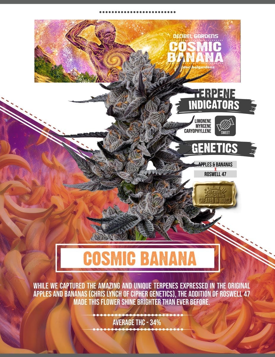 Decibel Gardens | 3.5g - Cosmic Banana - Decibel Gardens -  - $52.65 - Flowers