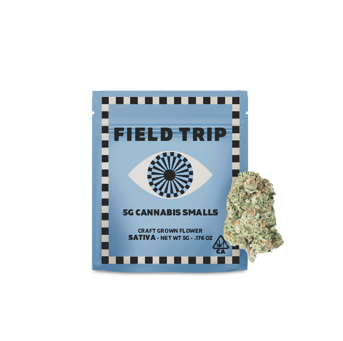 Field Trip: Sales Floor